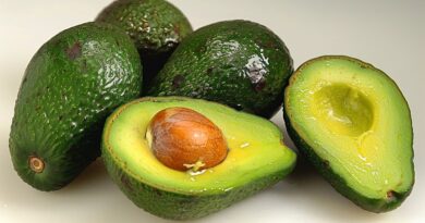Receitas Com Abacate: Pratos Que Unem Sabor E Benefícios Para A Saúde